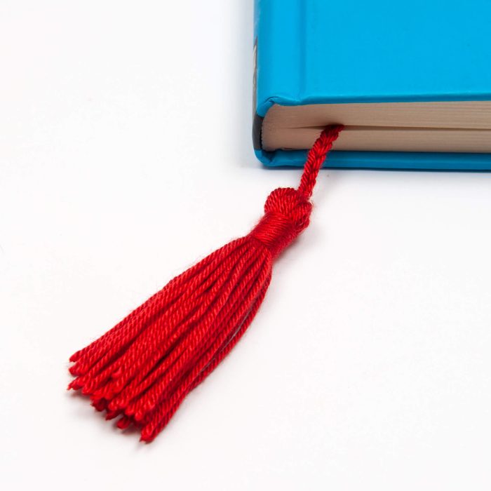 Handmade Amigurumi Crocheted Eaten Apple Bookmark With Tassel Gift for Booklovers Tassel Shot